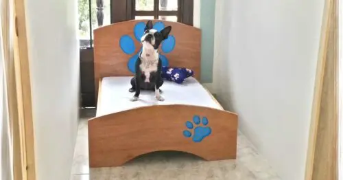 PET FAMILY HOTEL CANINO PET FAMILY HOTEL CANINO